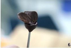 Handmade Chocolate Flower recipe