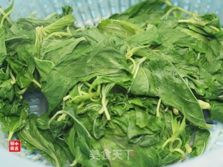 Stir-fried Hemp Leaves with Bean Paste: Heatstroke Prevention and Cooling on The Table recipe