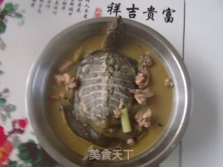 Turtle Chicken Soup recipe