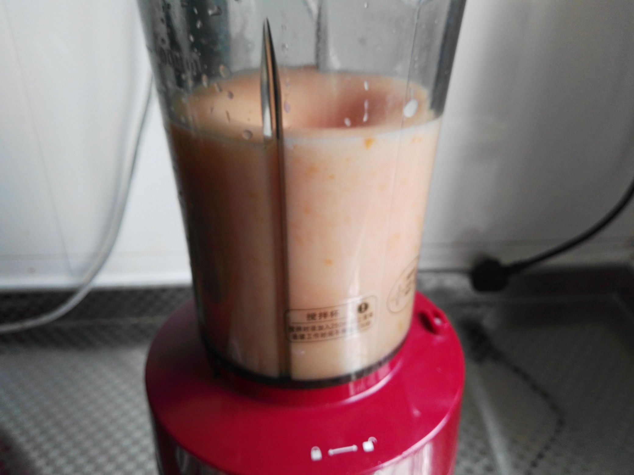 Probiotic Carrot Pear Juice recipe