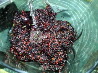 Mulberry Jam recipe