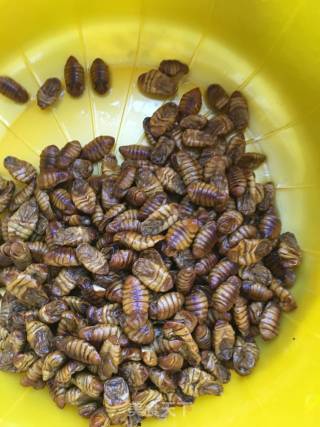 Dry Stir-fried Silkworm Pupa recipe