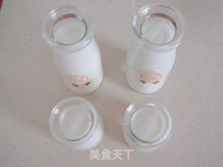 【homemade Bifidobacterium Yogurt】 recipe