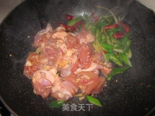 Spring Plum, Simple and Quick Version [spicy Chicken] recipe