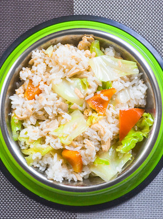 Dog Recipe: Salmon Fried Rice recipe