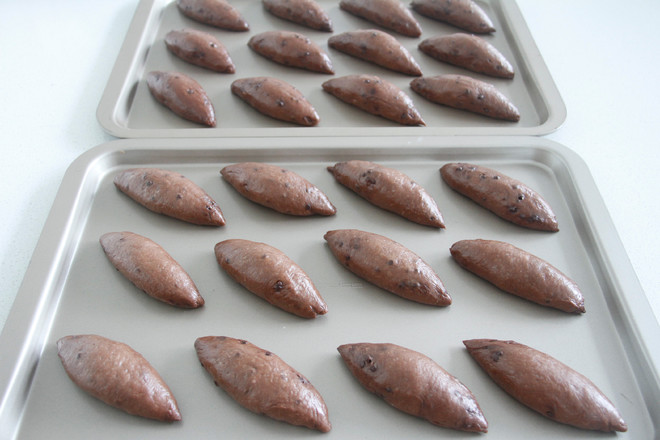 Chocolate Sweet Bread Baked in A Custer Oven 960m recipe