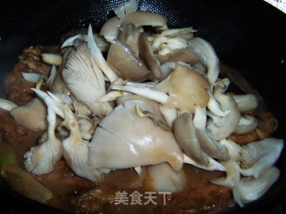 Stewed Octopus with Fresh Mushrooms recipe