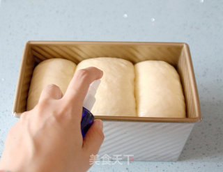 [hong Kong-style Toast]: What Should I Do If The Dough is Over-sent? recipe