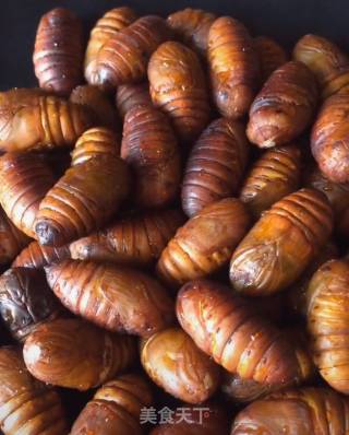 Dry Stir-fried Silkworm Pupa recipe