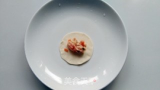 Steamed Dumplings with Fresh Meat recipe