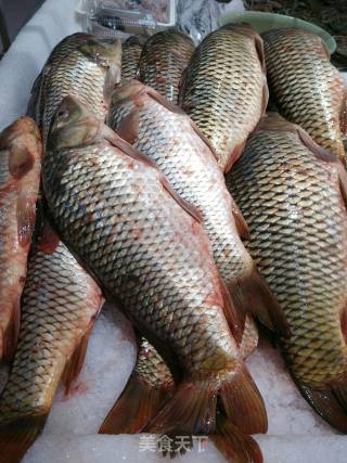 Fried Carp recipe