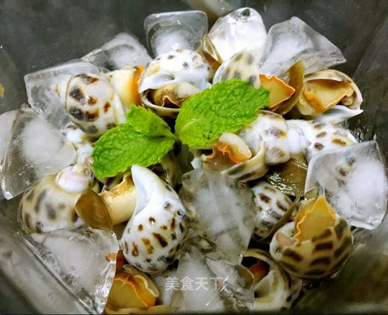 Unable to Refuse The Delicious Original Seafood-iced Snails with Japanese Soy Sauce Mustard recipe