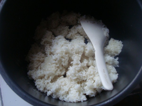 Garlic Egg Fried Rice recipe