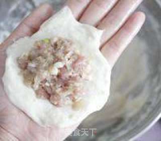 Beef Yuan Scallion Pie recipe