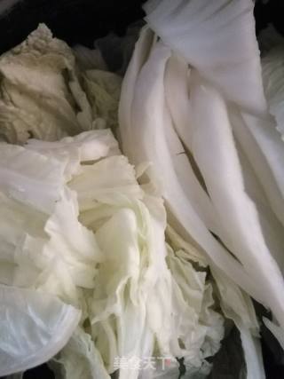 Vinegar Cabbage recipe