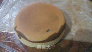 Rice Cooker Zebra Pattern Naked Cake recipe
