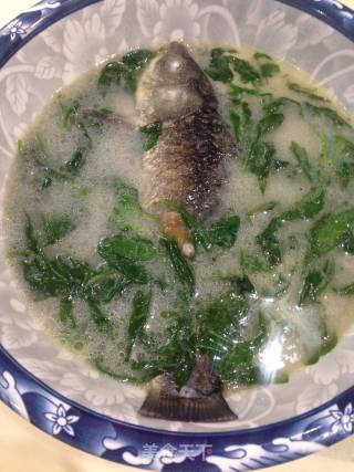 Lycium Barbarum Leaf Crucian Fish Soup recipe