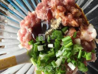 #aca烤明星大赛#crispy Quail Rolls with Minced Meat recipe