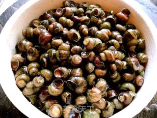 Spicy Escargot recipe