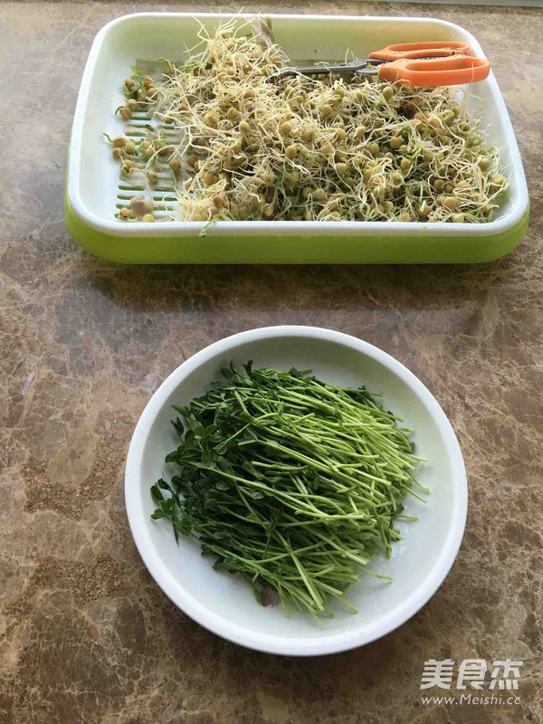 Cold Pea Sprouts recipe