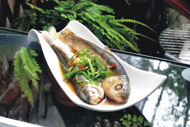 Steamed Chinese Fish recipe