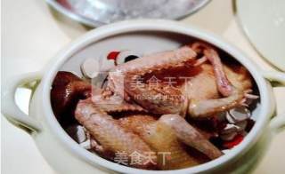 "palace Restaurant"-stewed Pigeon with Huaiqi and Huangjing recipe