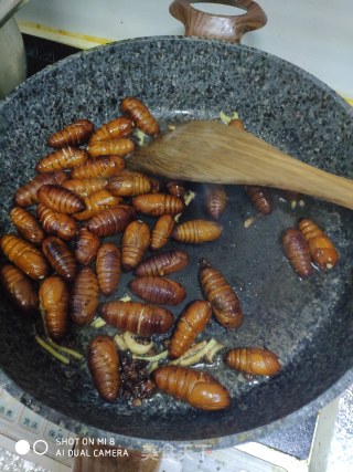 Dry Cocoon Pupae recipe