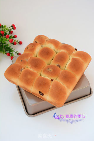 Raisin Old Bread recipe