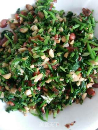 Coriander recipe