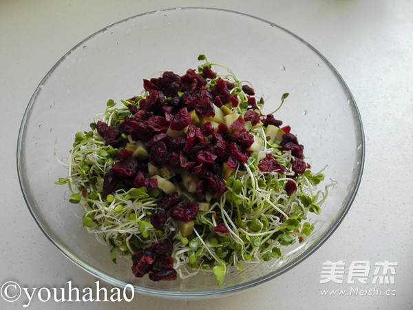 Radish Sprouts and Cranberry Salad recipe