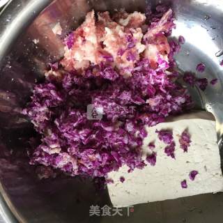 Purple Cabbage Tofu Filling recipe