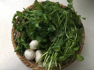 Tricholoma Watercress recipe