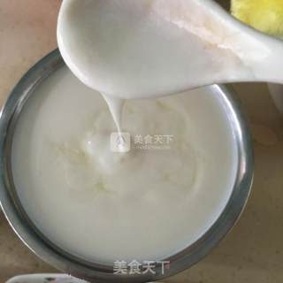 Plain Yogurt recipe