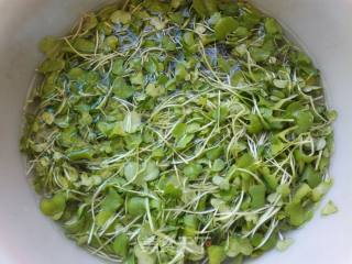 Radish Sprouts recipe