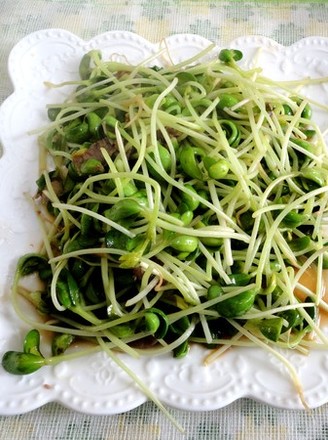 Stir-fried Pork with Black Bean Sprouts recipe