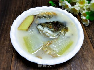 Winter Melon Fish Head Soup recipe