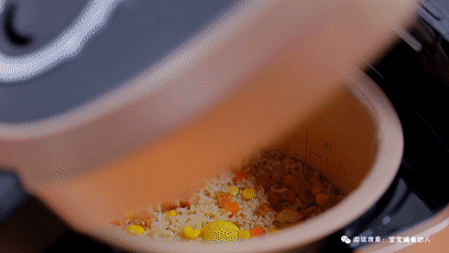 Chestnut Stewed Rice Baby Food Supplement Recipe recipe
