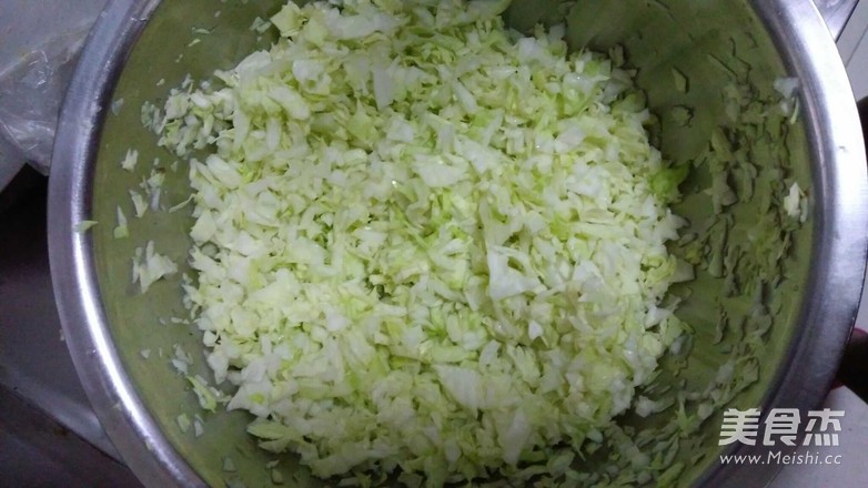 Steamed Dumplings with Green Cabbage recipe