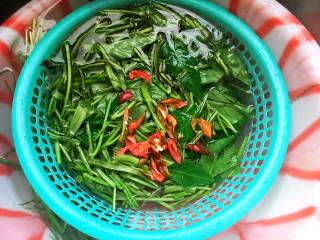 Vegetarian Stir-fried Water Spinach recipe