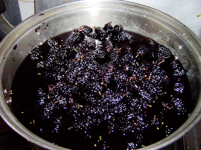 Mulberry Juice recipe