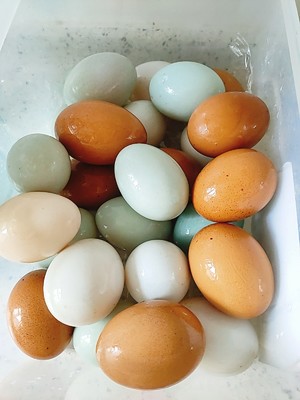 Two Ways to Make Homemade Salted Duck Eggs, Eggs, and Goose Eggs recipe