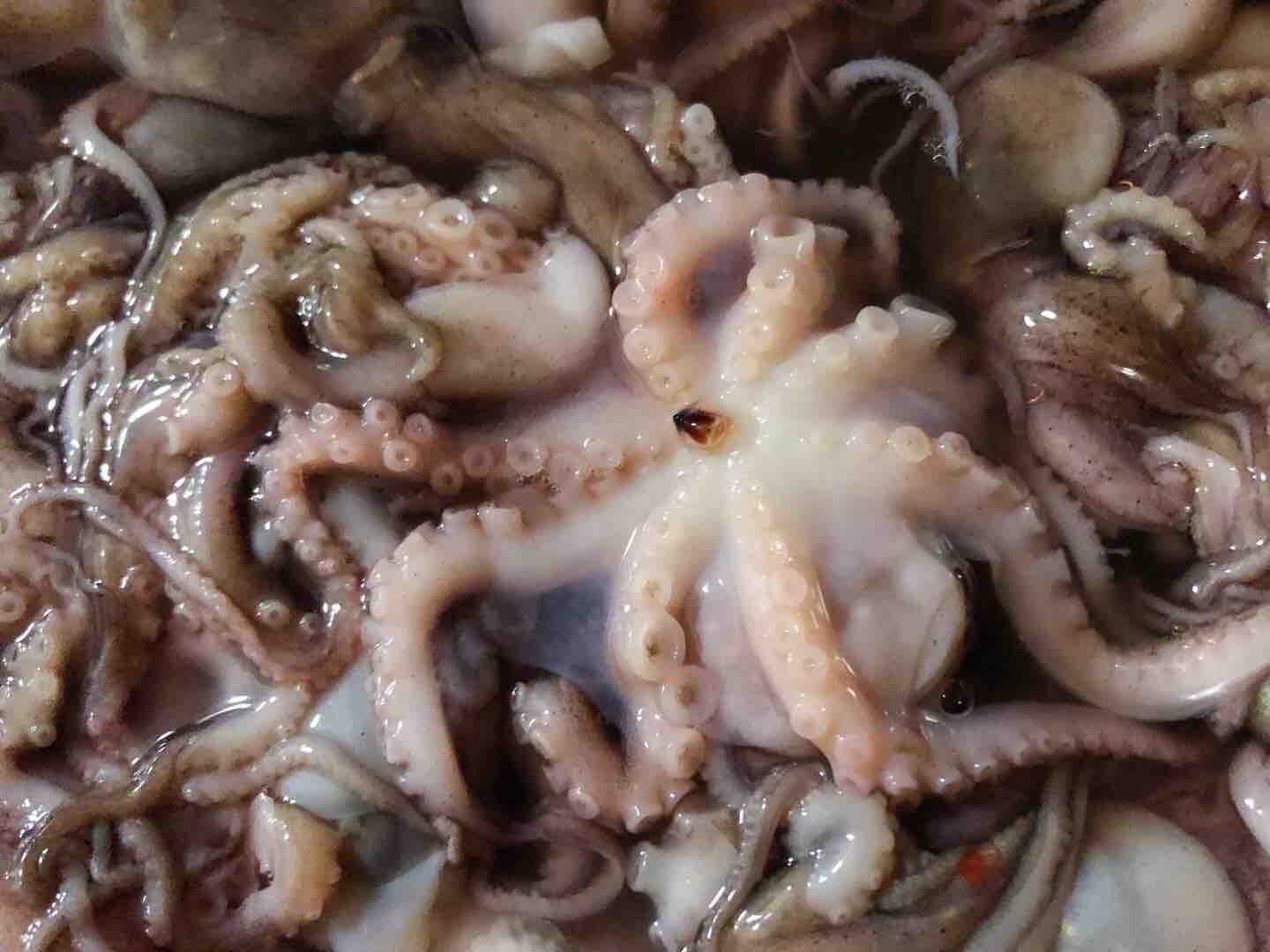 Stir Fried Octopus recipe