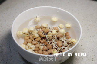 Lotus Seed Barley Syrup recipe