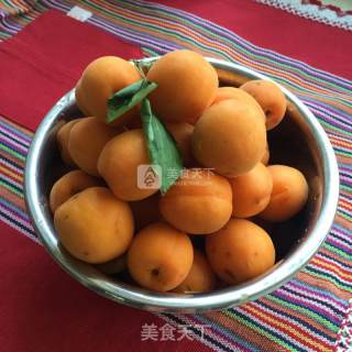 Apricot Jam recipe