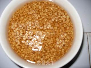 Make Yourself A Pot of Maltose recipe