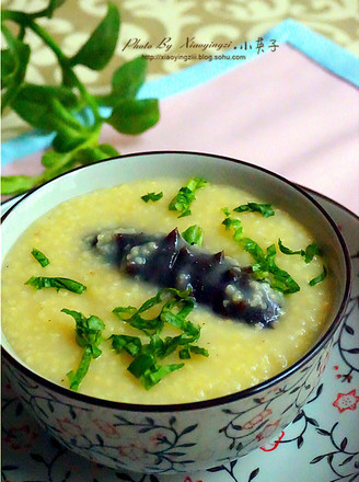 Thick Soup Sea Cucumber Millet Congee recipe