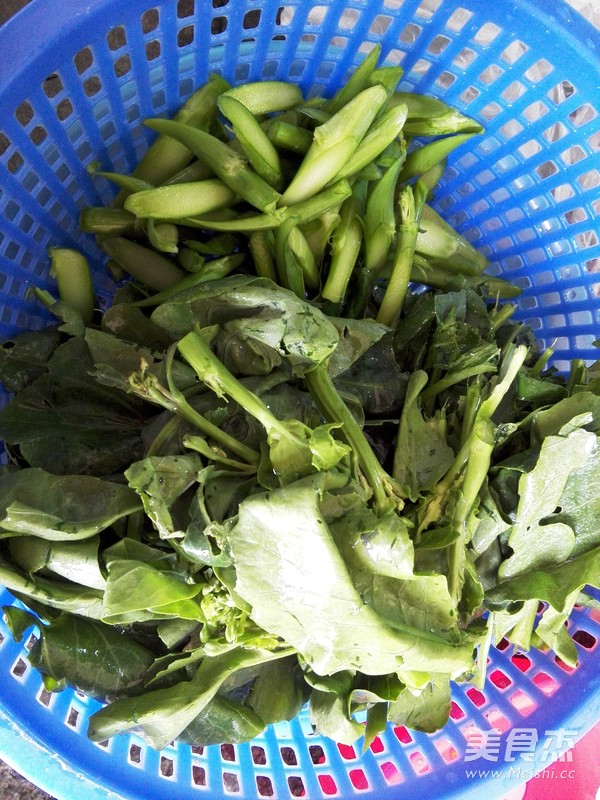 Stir-fried Kale recipe