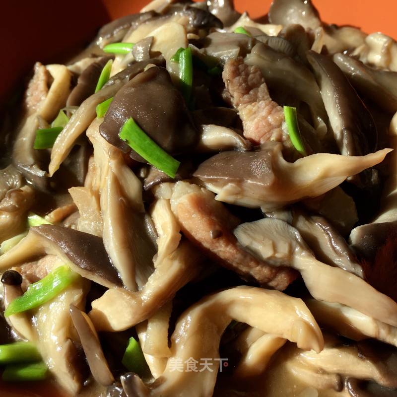 Stir-fried Oyster Mushroom with Pork recipe