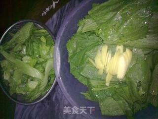 Vegetarian Stir-fried Mustard Greens recipe