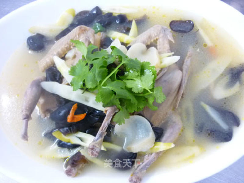 Stewed Pigeon with Gastrodia recipe